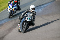 PJ-Motorsport-2019;anglesey-no-limits-trackday;anglesey-photographs;anglesey-trackday-photographs;enduro-digital-images;event-digital-images;eventdigitalimages;no-limits-trackdays;peter-wileman-photography;racing-digital-images;trac-mon;trackday-digital-images;trackday-photos;ty-croes